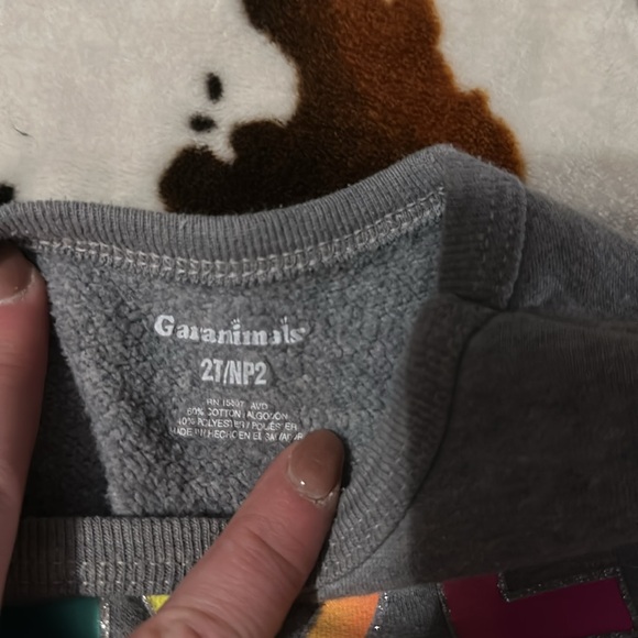 2T sweatshirt - Picture 2 of 2
